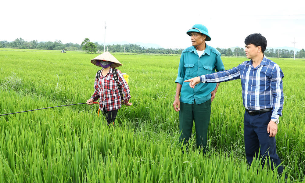 Gương mẫu, trách nhiệm cao trong công việc